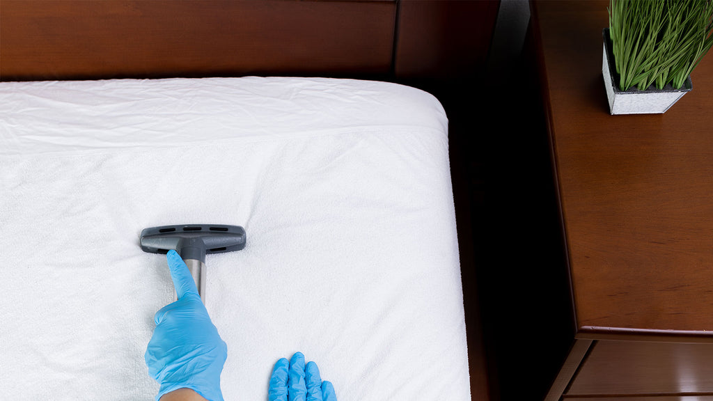 5 Easy Steps to Get Scabies Off a Mattress